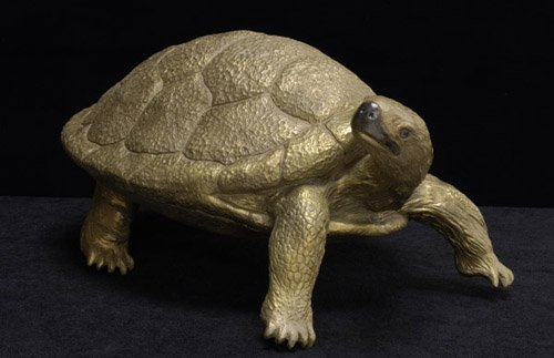 African Tortoise Sculpture-sculpture