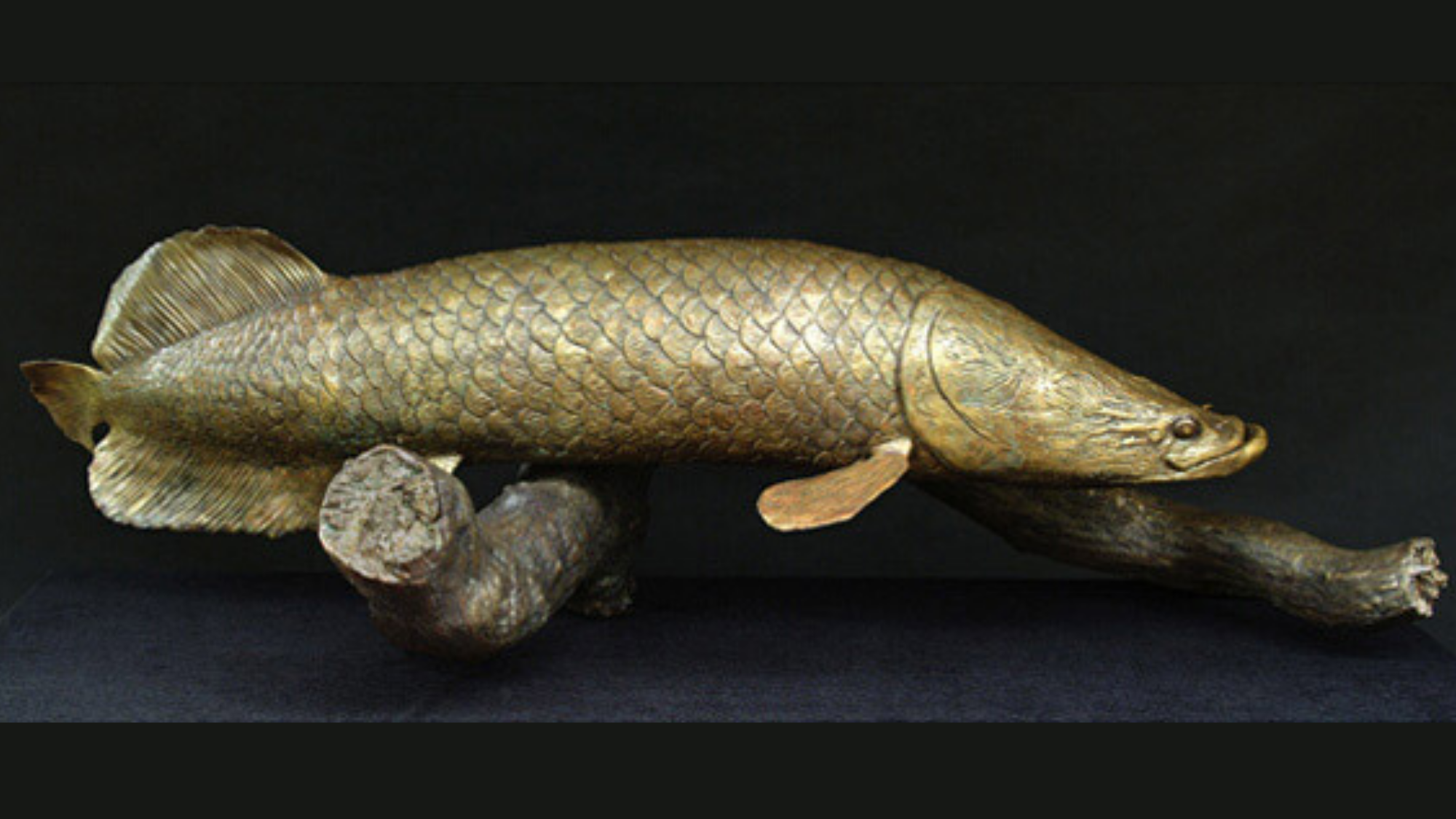 Arapaima-sculpture