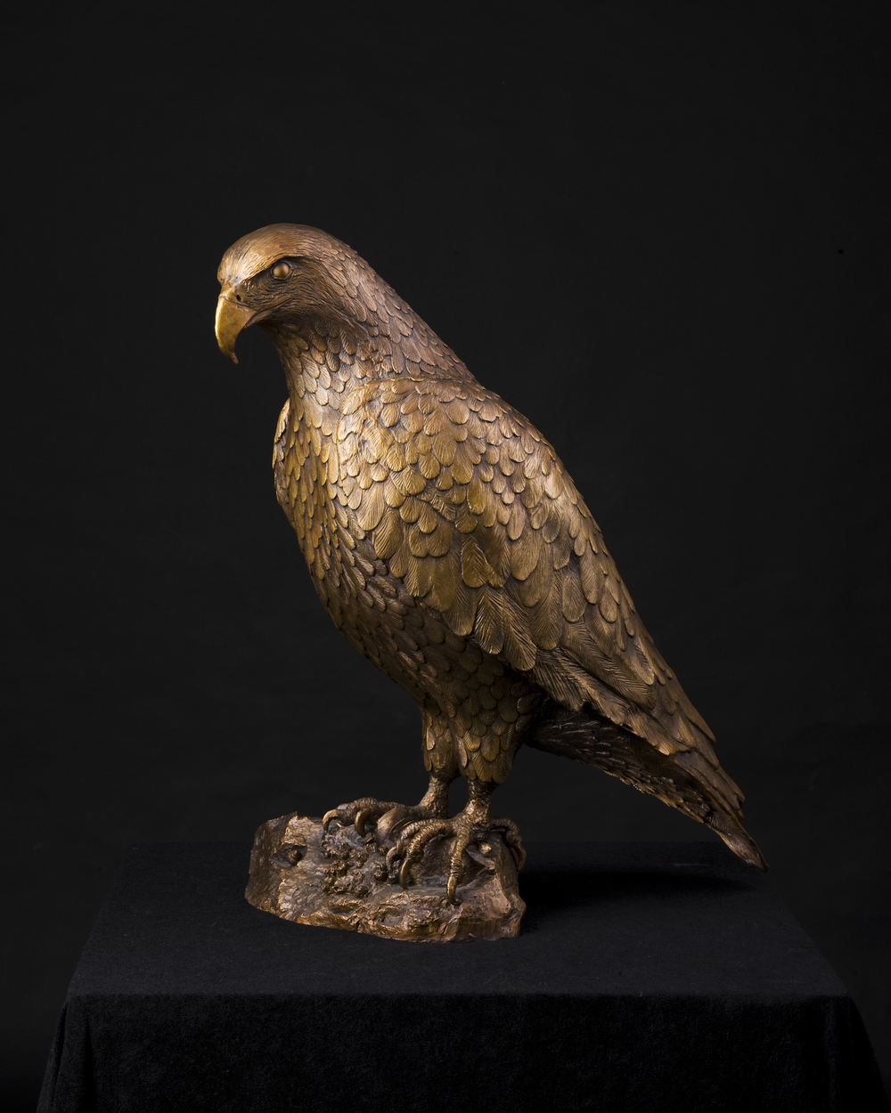 Bald Eagle on Beach Rock-sculpture