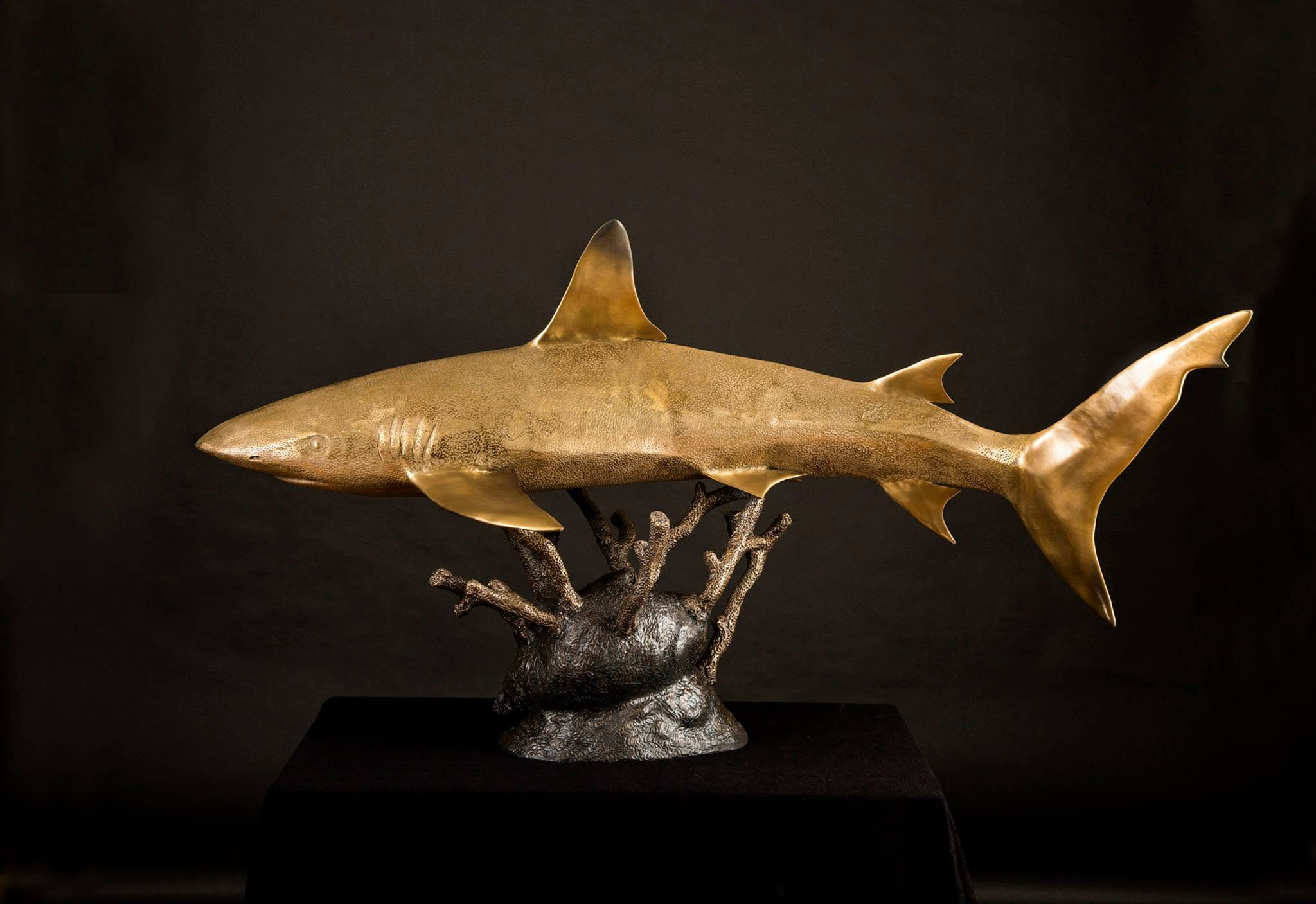 Black Tipped Reef Shark-sculpture