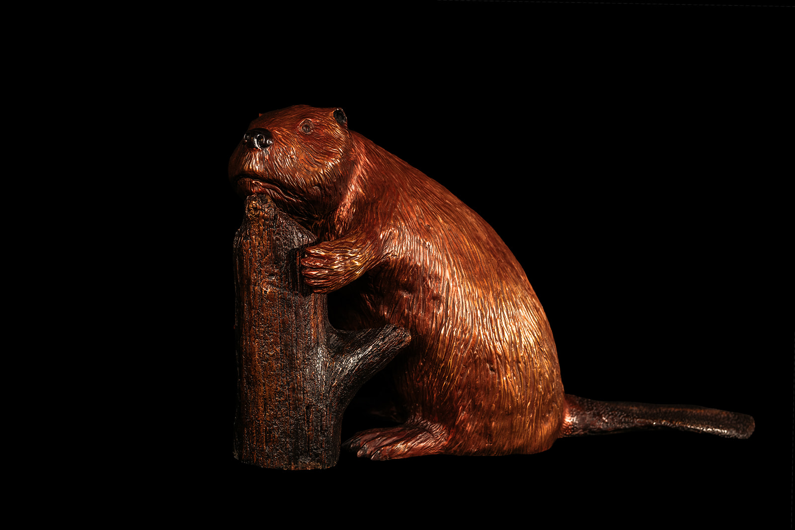 Canadian Beaver-sculpture