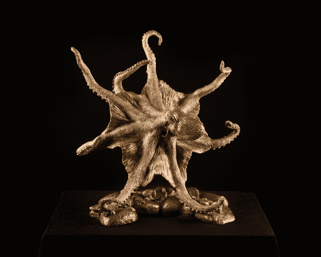 Climbing Octopus