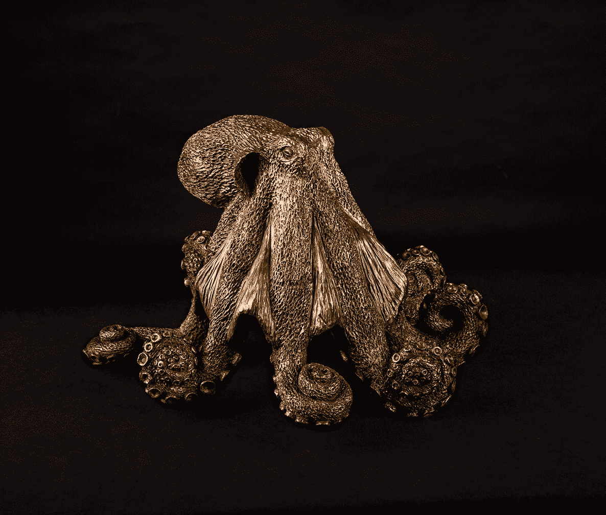 Crouching Octopus