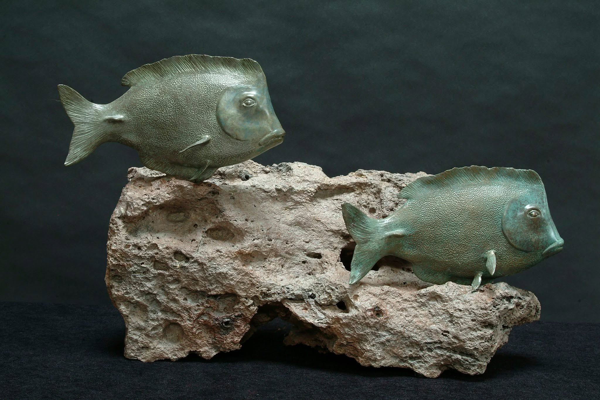 Pair of Surgeon Fish on Coral-like Burl-sculpture