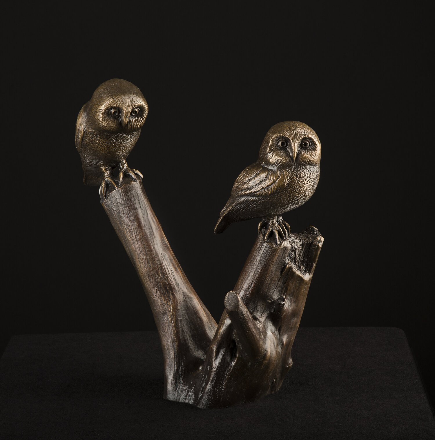 Pair of Sawhet Owls-sculpture