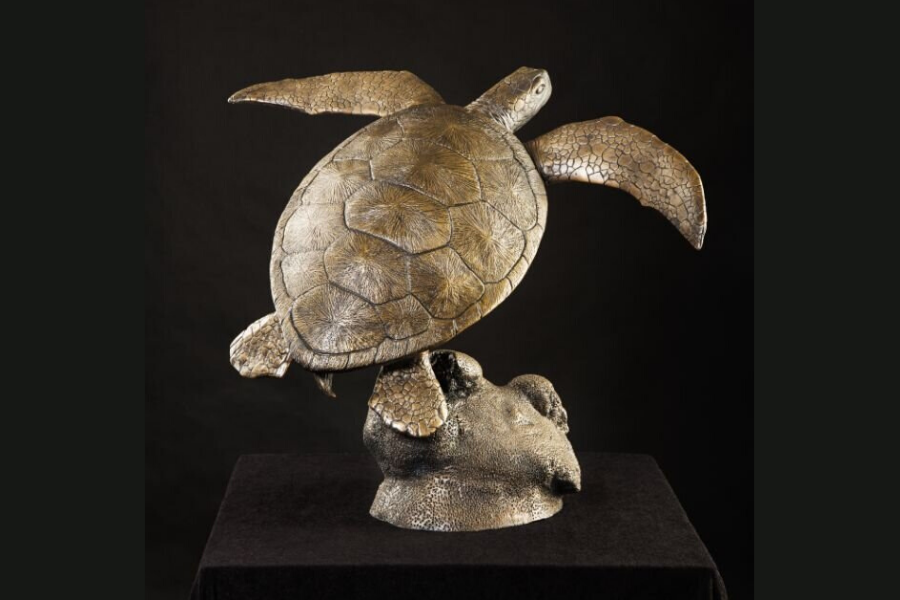 Green Sea Turtle on Coral Base-sculpture