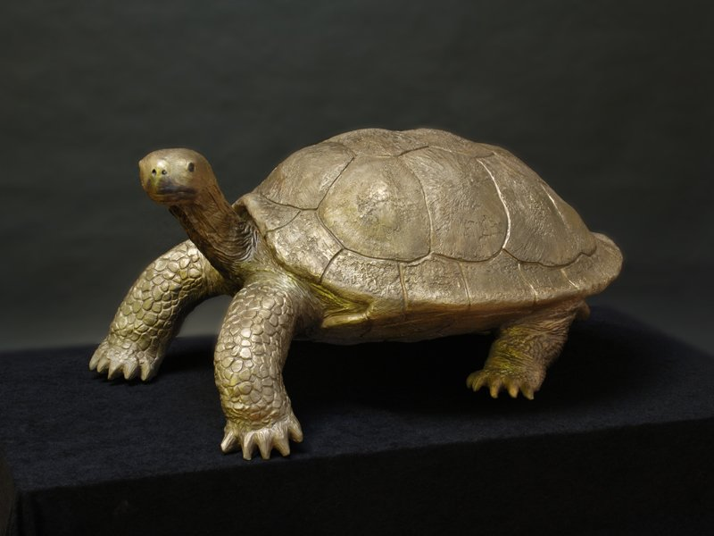 Giant Galapagos Tortoise-sculpture