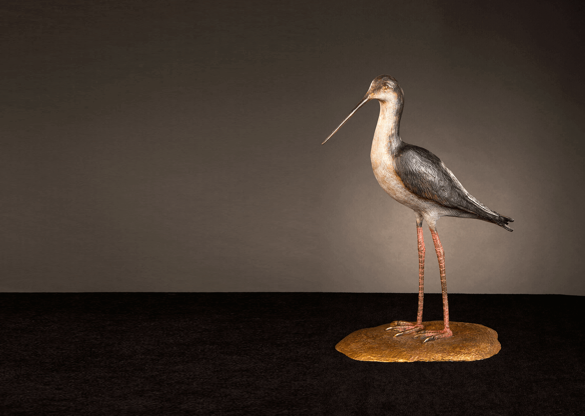 Birds Gallery