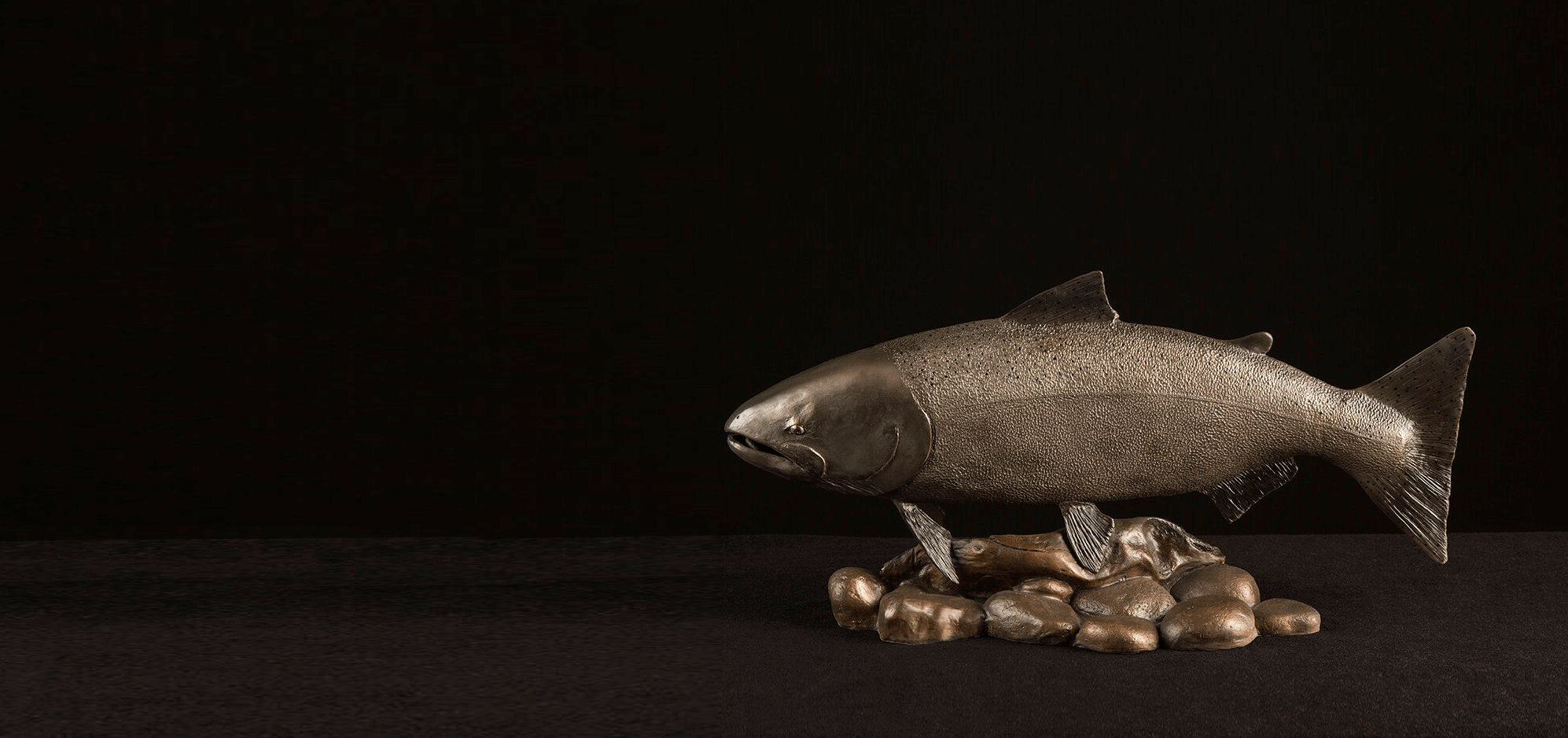 Fish Gallery
