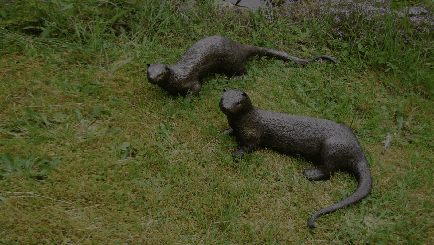 Otters Gallery