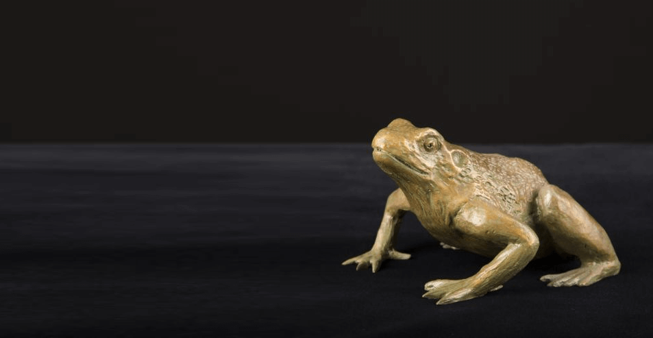 Reptiles Gallery