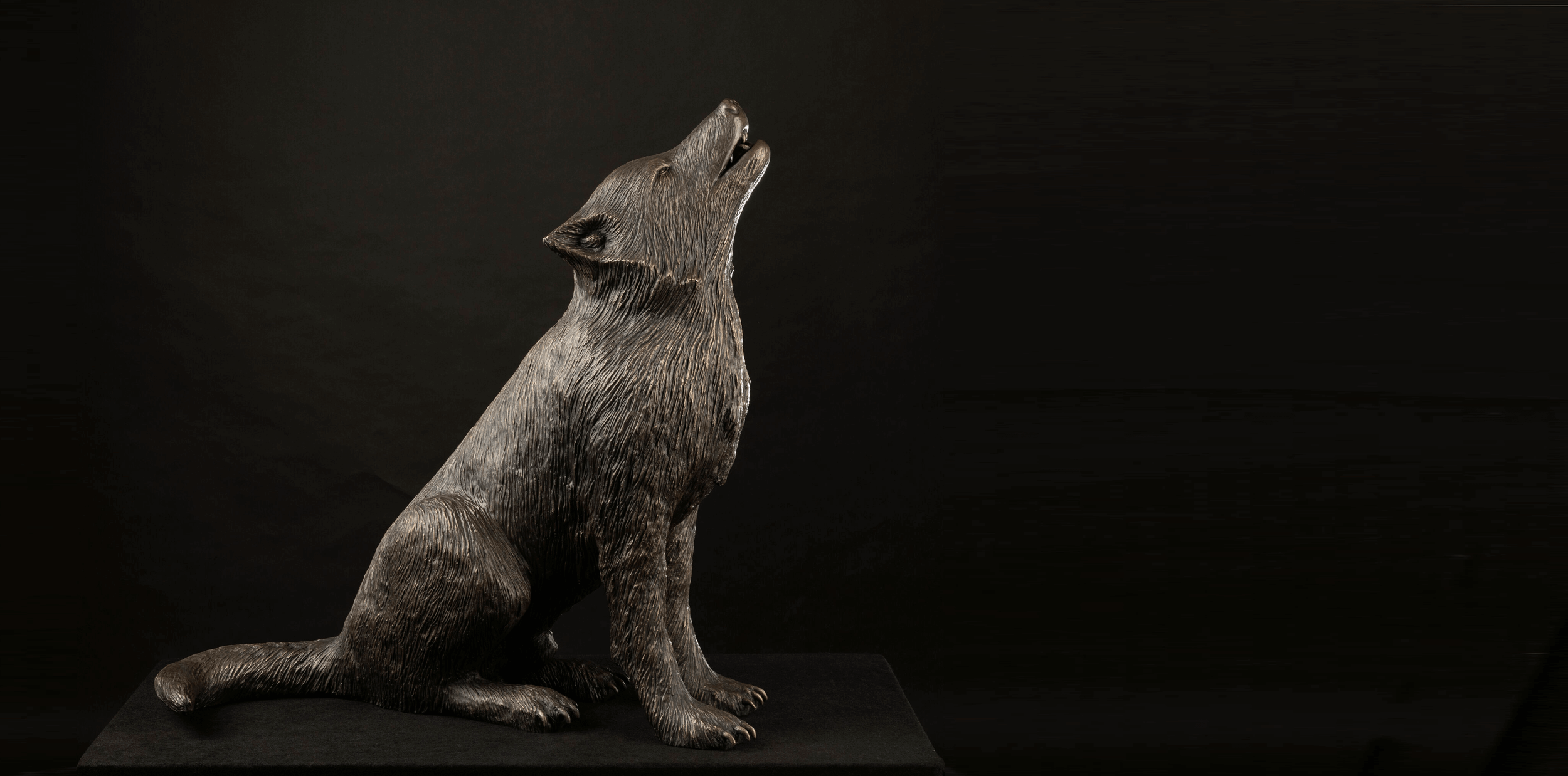 Wolves Gallery