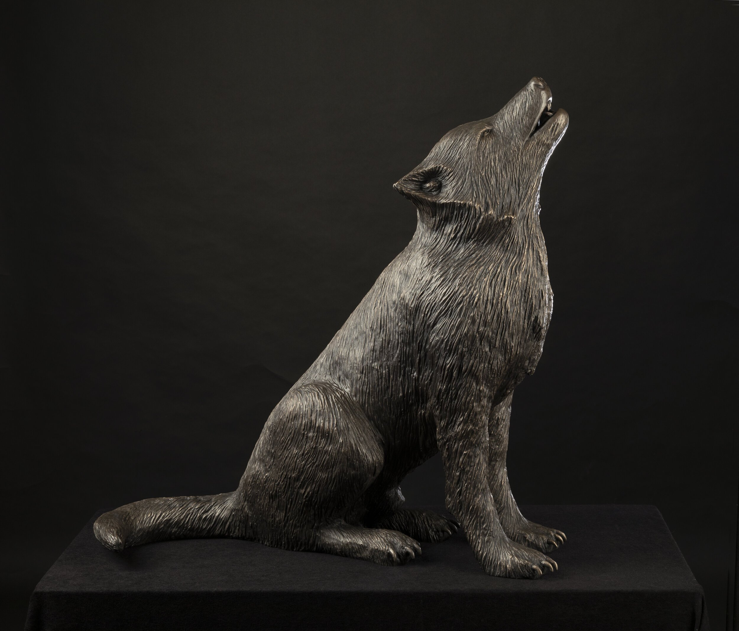 Winter 2020 - Studio News