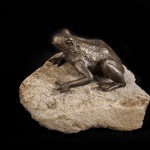 Spring 2012 – Update